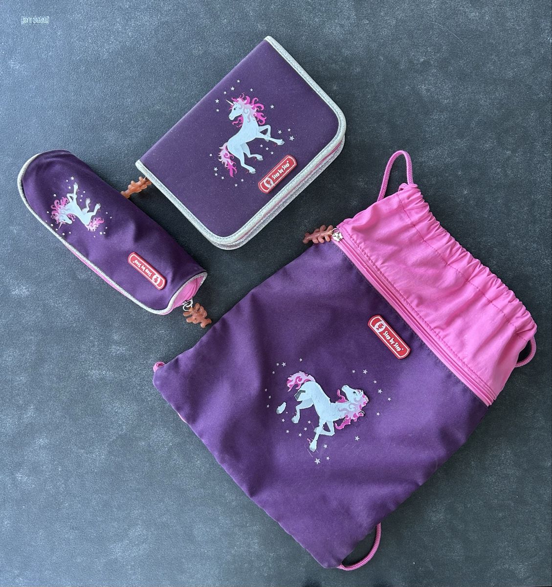 Step by Step Sacs & sacs à dos: Schulrucksack Step by Step 4-teilig – D'occasion à Bremgarten b. Bern par anna_dup 1