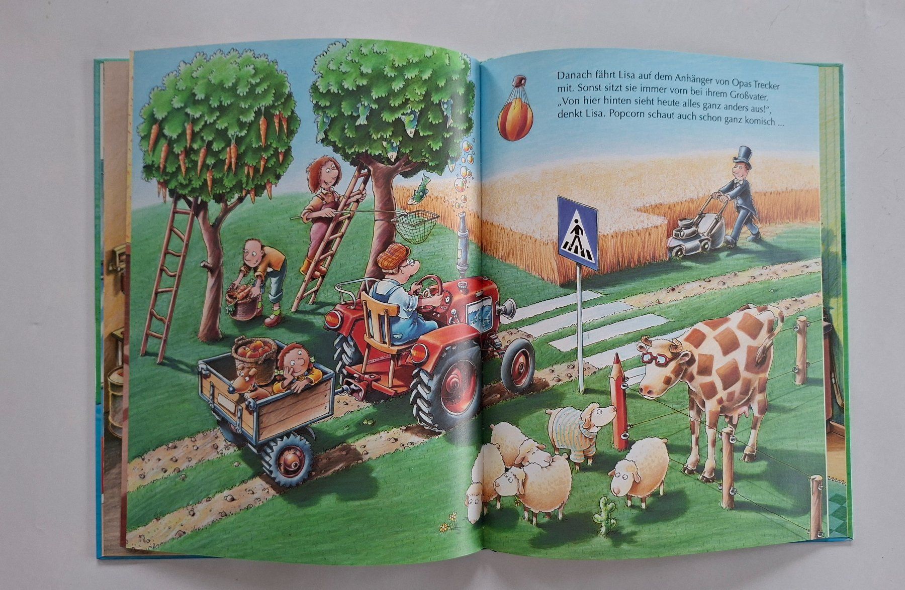 Libri: Kinderbuch "Was stimmt denn da nicht?" – Usato da Opfikon venduto da Diversamente 4
