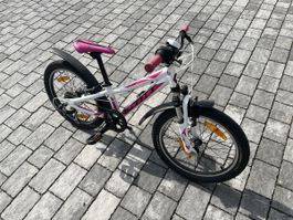 Kinder Fahrrad Scott Contessa JR 20" 