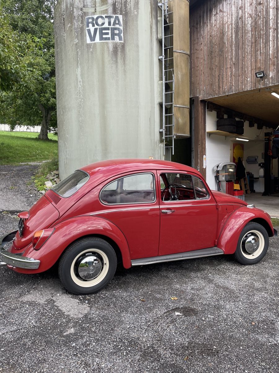 VW Automobili: VW Käfer 1300 – Usato da Chur venduto da fan_gh6f 1
