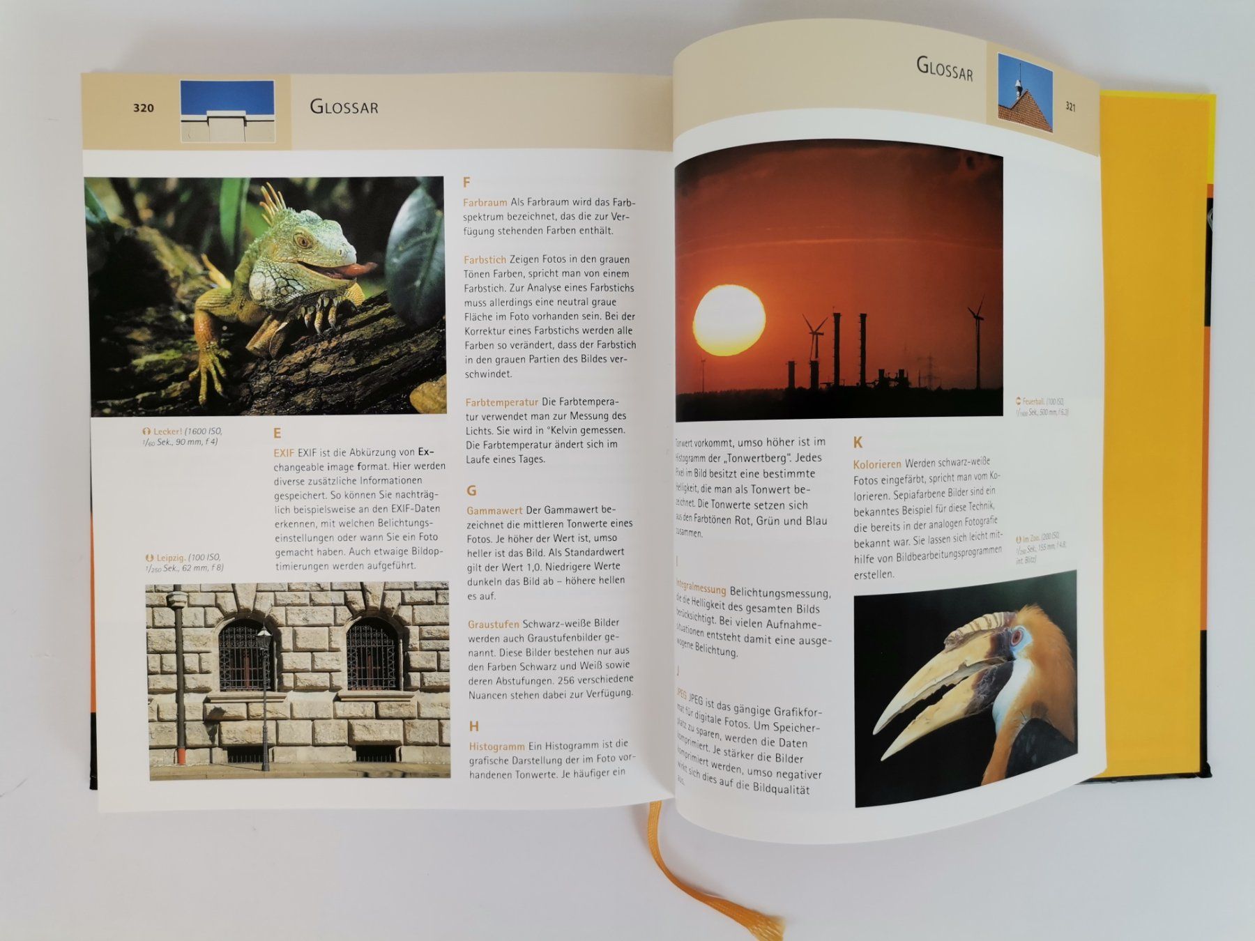 Libri: Buch NIKON D300 – Usato da Schaffhausen venduto da Restwert_SH 8