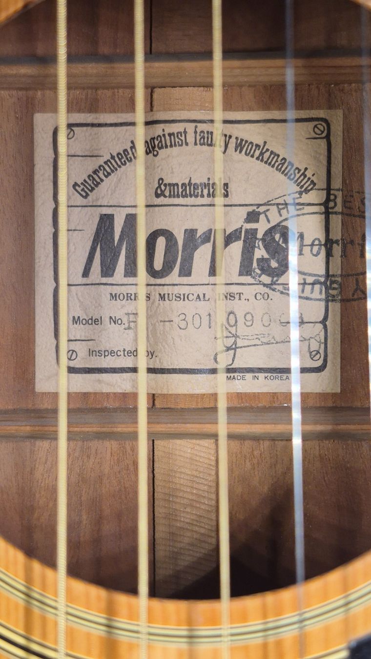 Strumenti musicali: Western Gitarre Morris F-301 – Usato da Winterthur venduto da NorrSydGuitars 8