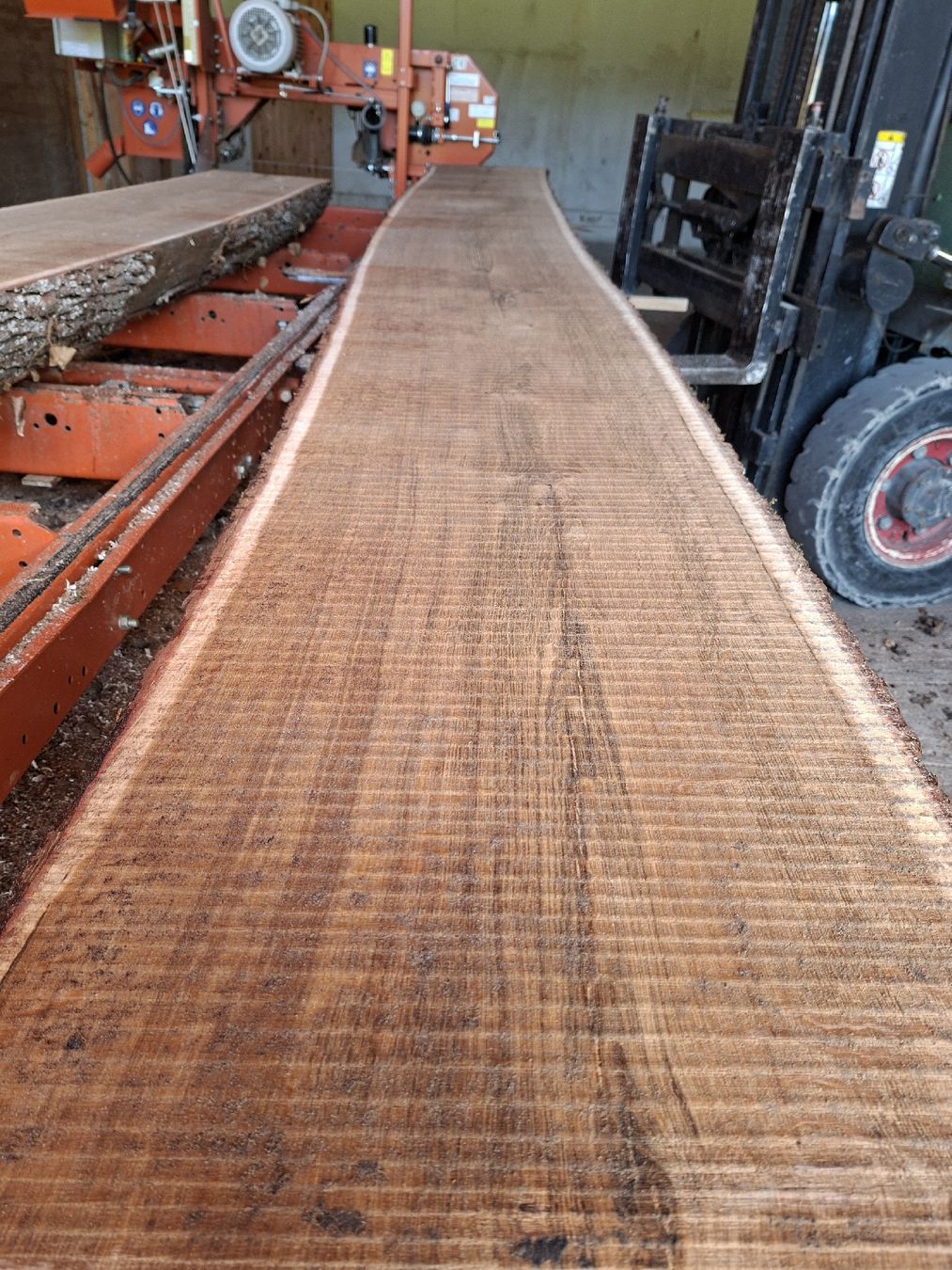Articoli in legno: Eichenbretter 60mm – Nuovo (secondo la descrizione) da Büren SO venduto da baschi87 3