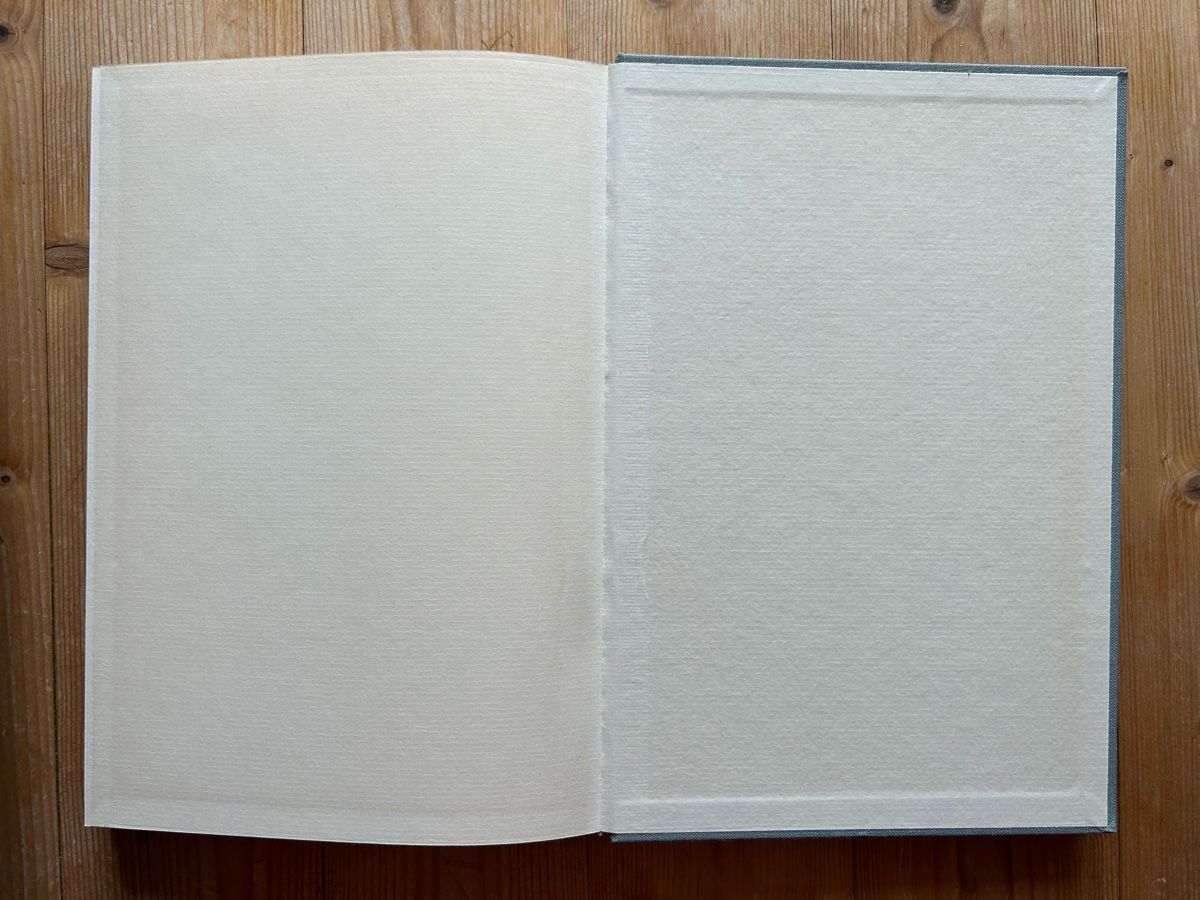 Libri: Theodor Hetzer - Die Bildkunst Dürers – Usato da Himmelried venduto da rasmus67 9