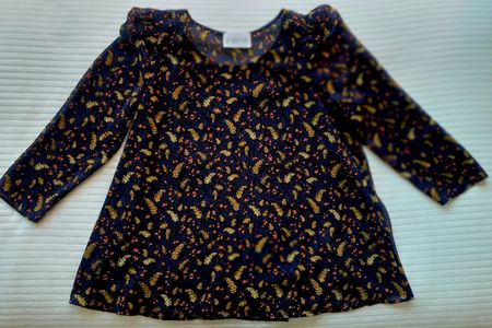 Magnifique chemisier Claudie Pierlot