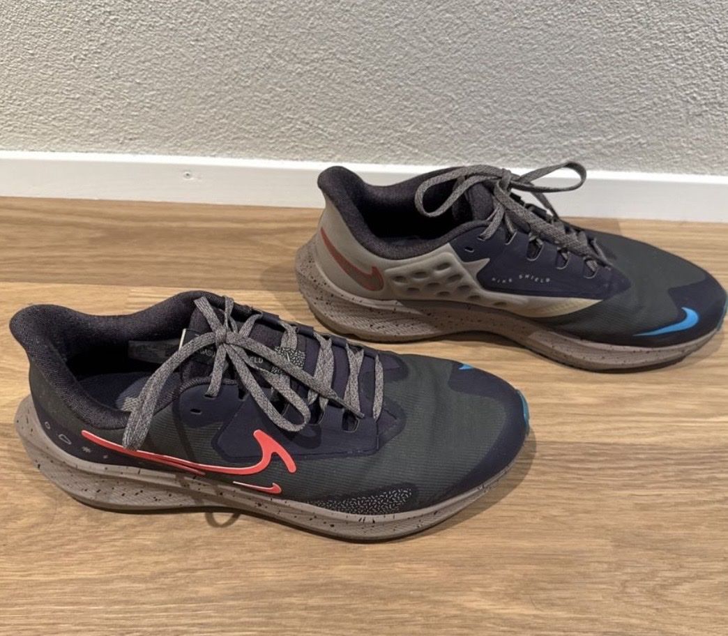 Nike Scarpe da uomo: Nike Pegasus – Usato da Corpataux venduto da seniz
