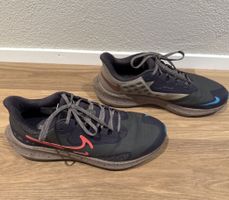 Nike Pegasus