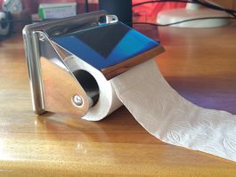Rollenhalter für WC-Papier verchromt, mit Sanitärschrauben
