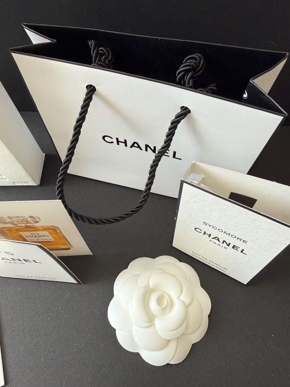 Chanel Borse: CHANEL - Parfumminis  Papiertasche Kamelie Geschenksband – Nuovo (secondo la descrizione) da St. Gallen venduto da aracne 5