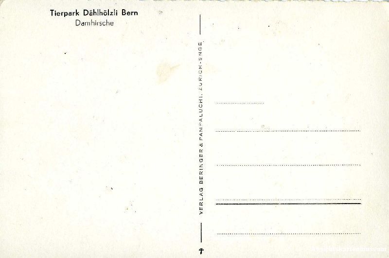 Cartoline postali: Bern - Dählhölzli Tierpark  c1950 – Usato da Emmenbrücke venduto da teestube 1