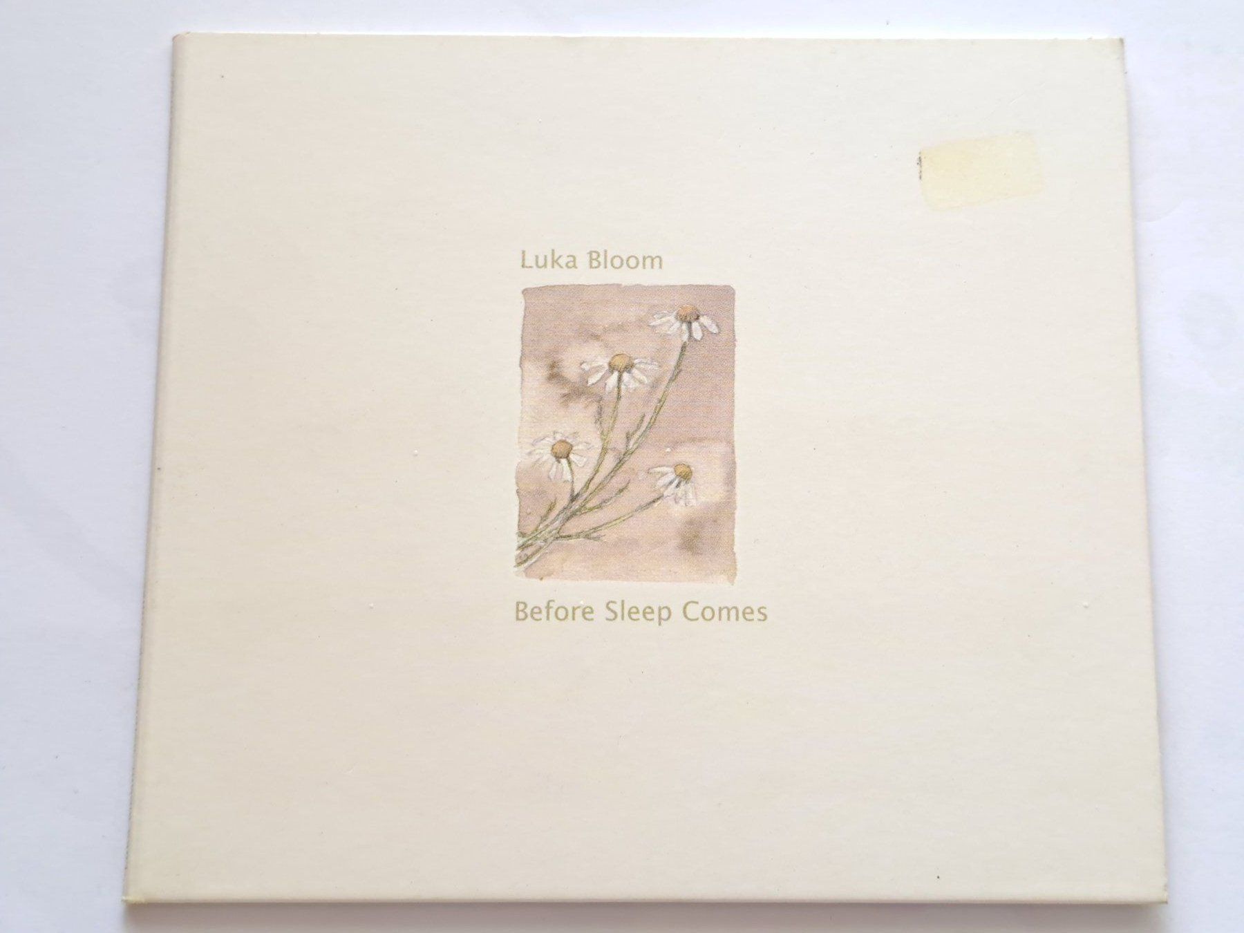 CD: Cd Luka Bloom - Before Sleep comes – Usato da Pully venduto da bro_n52j