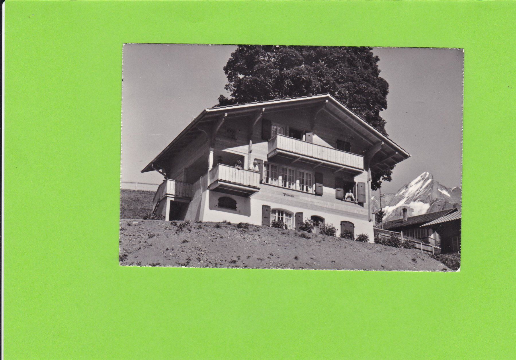 Cartoline postali: Chalet Primeli, Grindelwald – Usato da St. Peterzell venduto da neckertal
