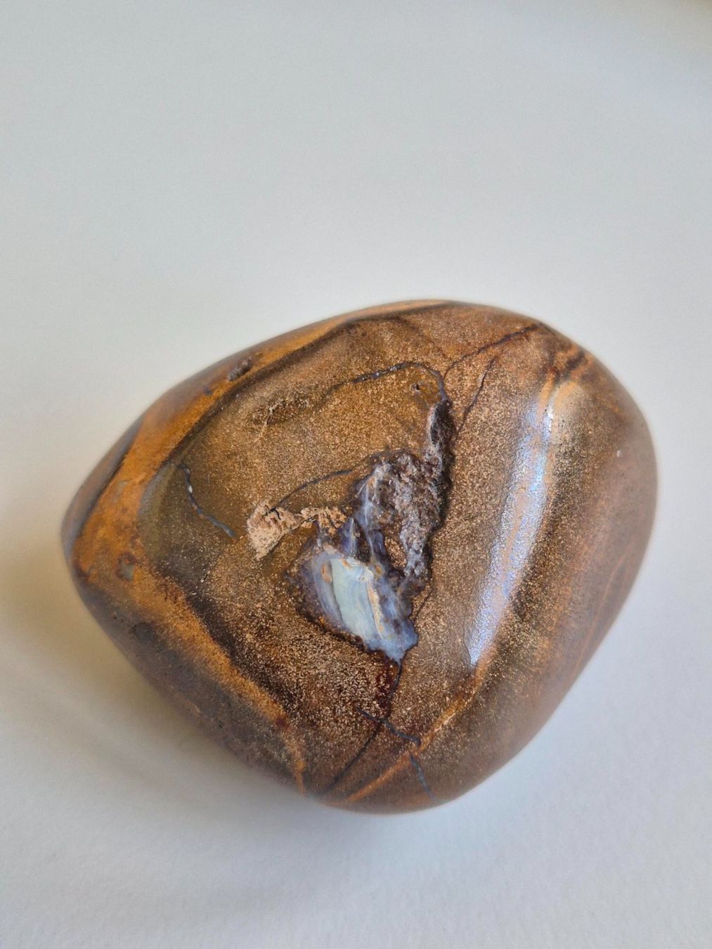Pietre preziose: Grosser Boulder Opal 406.5ct / 81.3g – Nuovo (secondo la descrizione) da Rüti ZH venduto da pep_l9zp