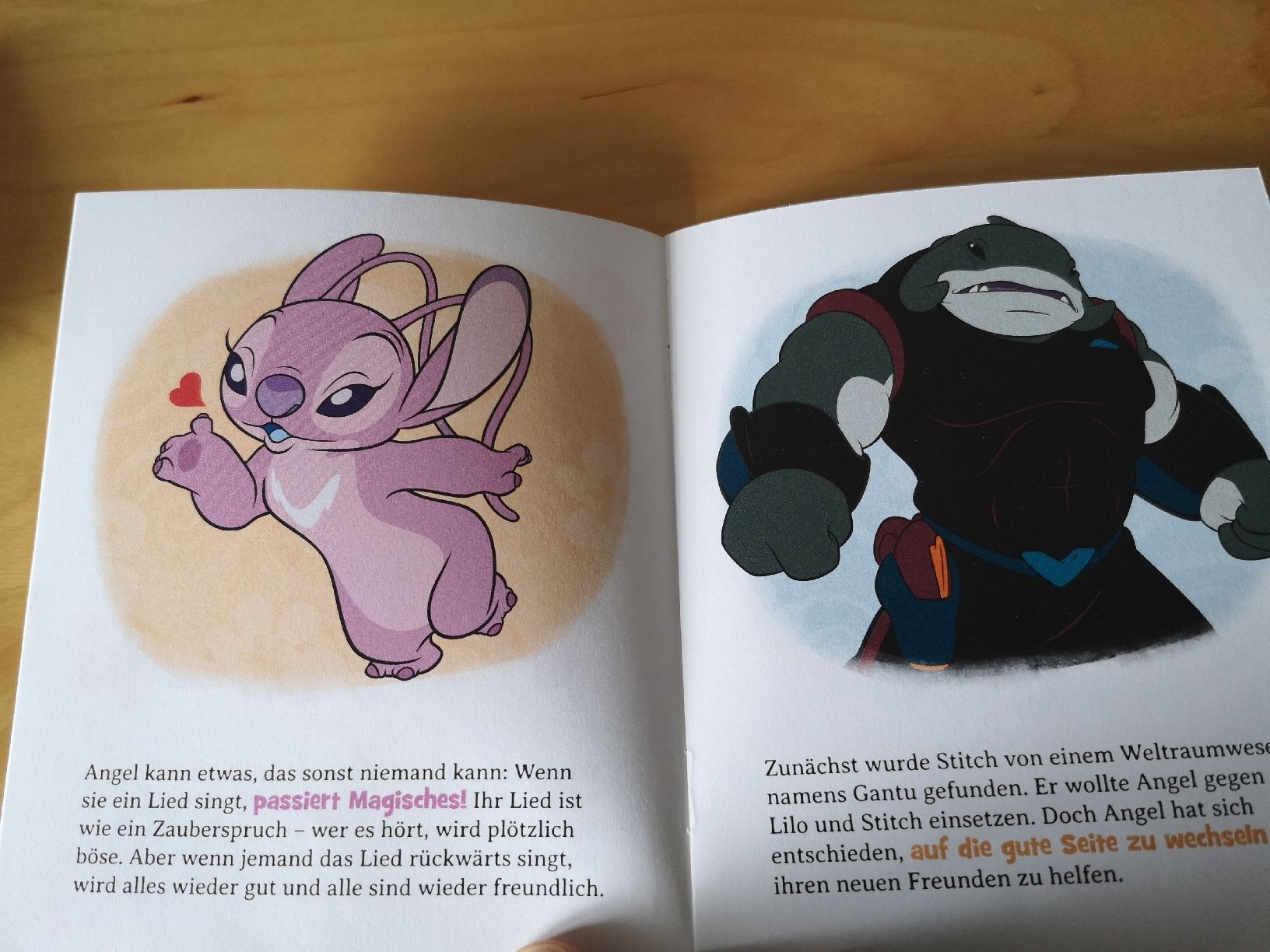 Livres: Herziges Stitch-Buch – Neuf (Voir description) à Fehraltorf par romanschwarz 1