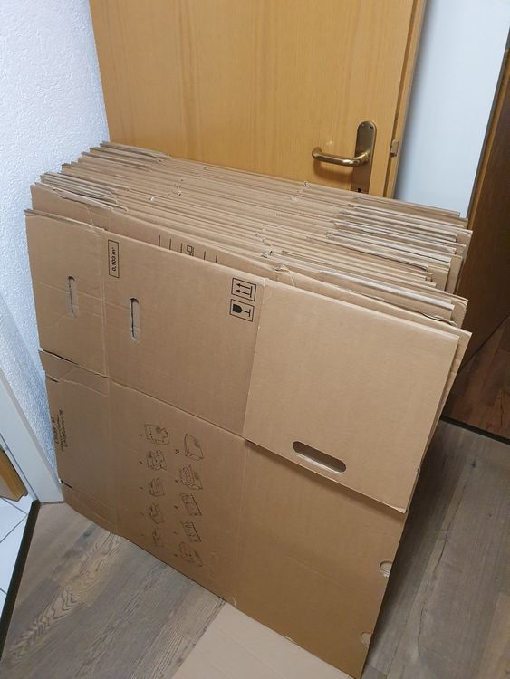 Faszinierend Wschestnder Gross Und Stabil Fotosnull