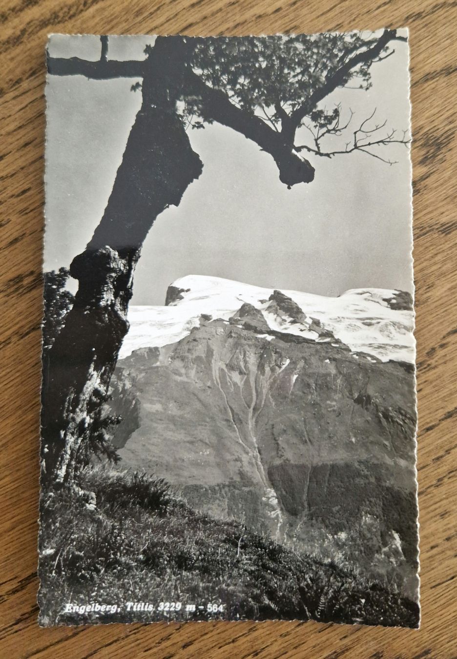 Cartoline postali: Engelberg, Titlis – Usato da Ebikon venduto da Donar50