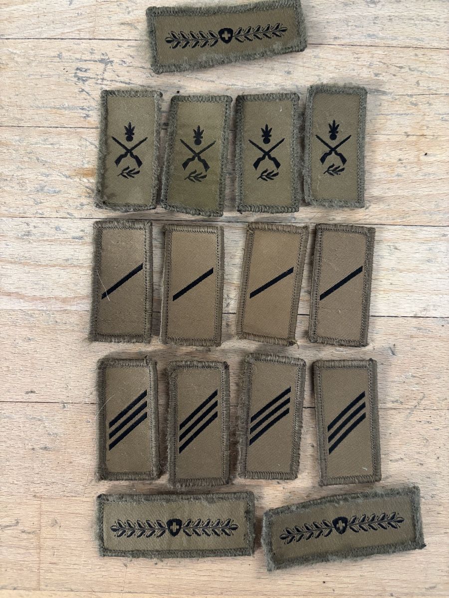 Schweizer Armee Placchette & Badge: Schweizer Armee – Usato da Liesberg Dorf venduto da Stefff123