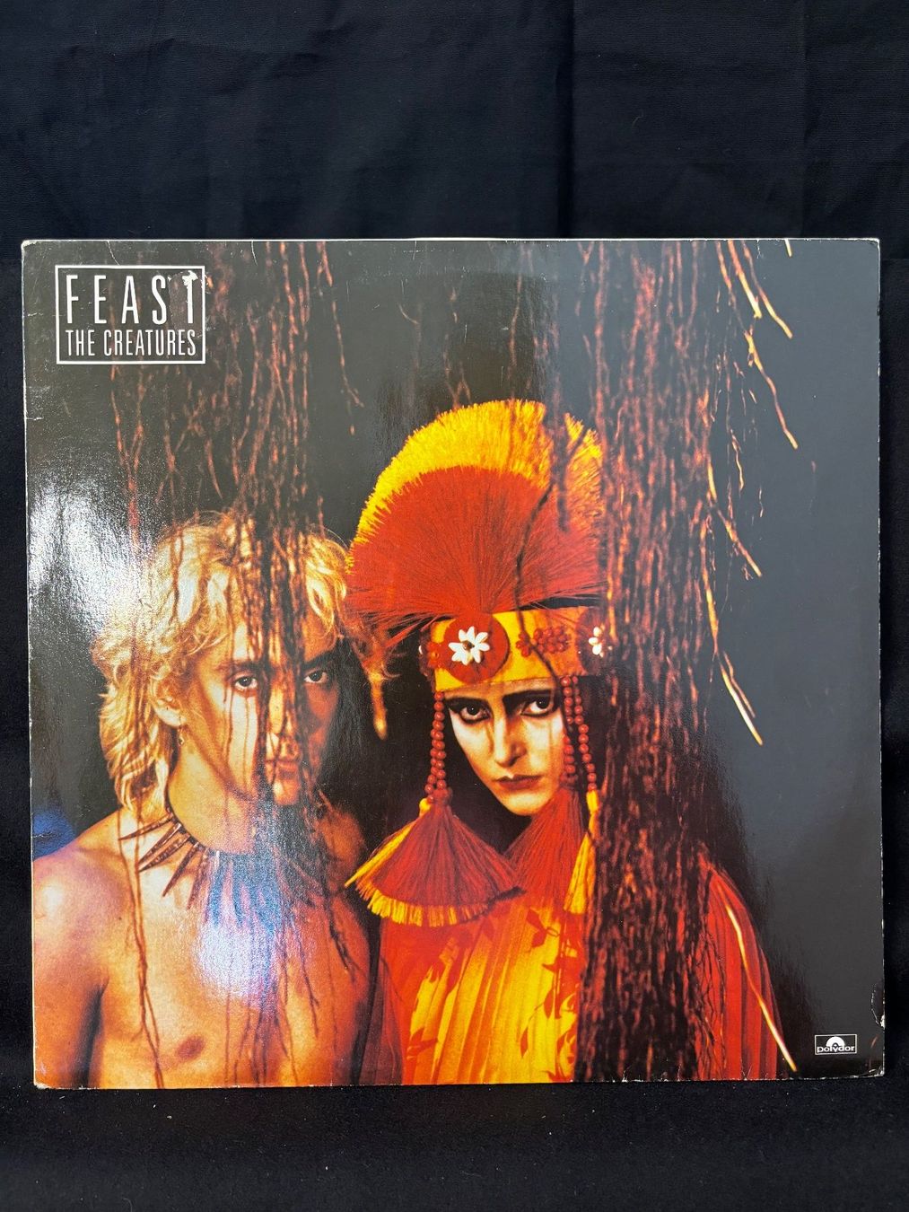 Schallplatten: The Creatures / Feast – Gebraucht aus St.Gallen von Out-take