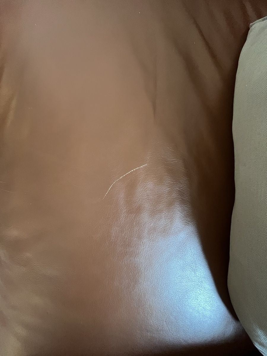 Sofas: Sofa / Ecksofa Echtleder W. Schillig – Gebraucht aus Bern von GnKn 8
