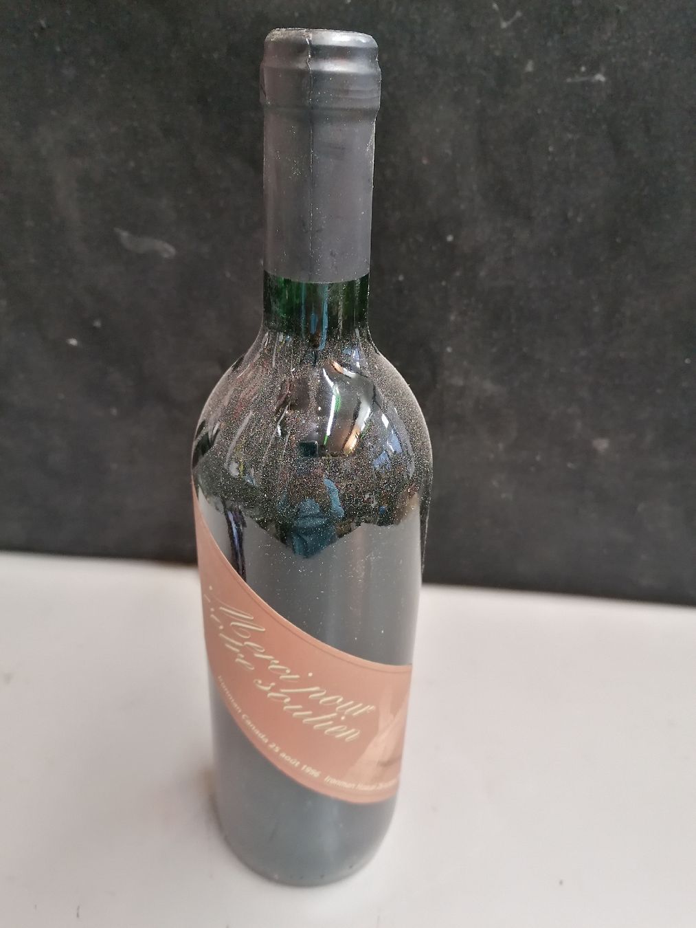 Vino: LE TRUCH DE REIGNAC 1994 – Nuovo (secondo la descrizione) da Genève venduto da Leboucheoreilles 2