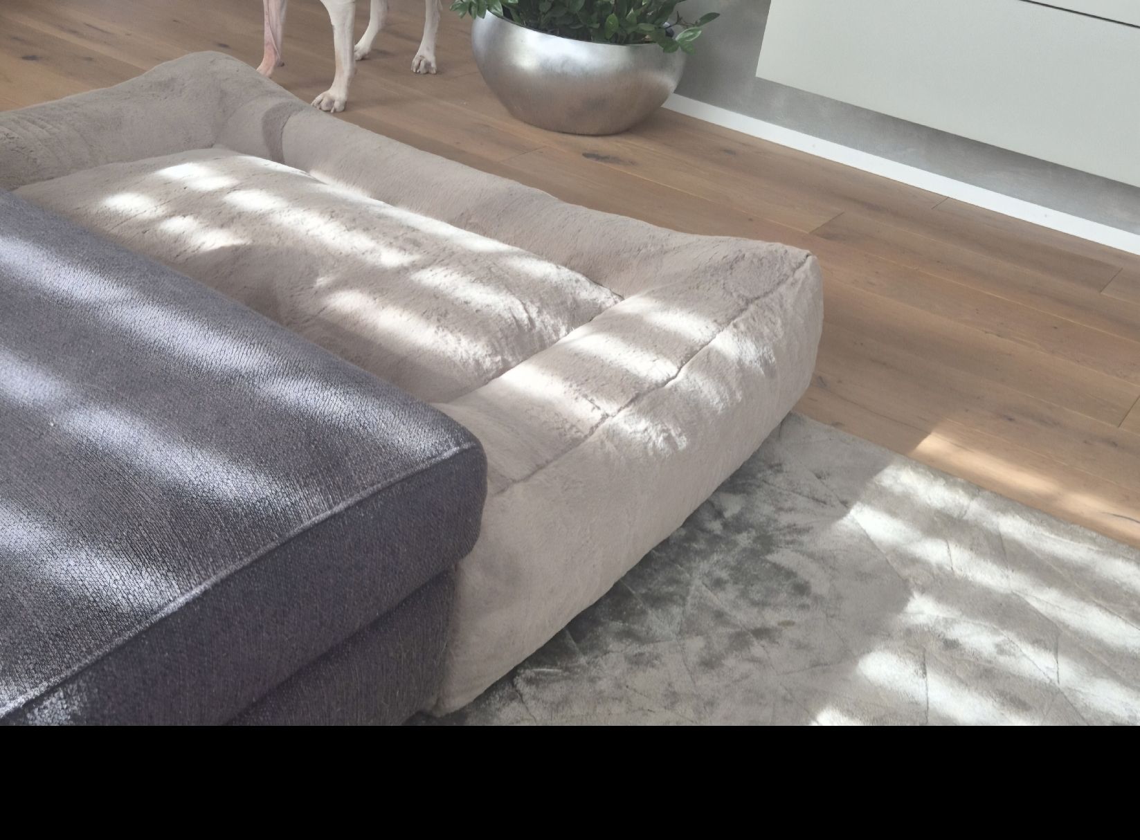 Cucce & Letti: Orthopädisches Hundebett – Usato da Frauenfeld venduto da teb_66w8 2