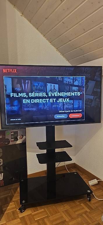 Supporti a parete: TV Samsung sur support à roulettes – Usato da Frasses venduto da bip73