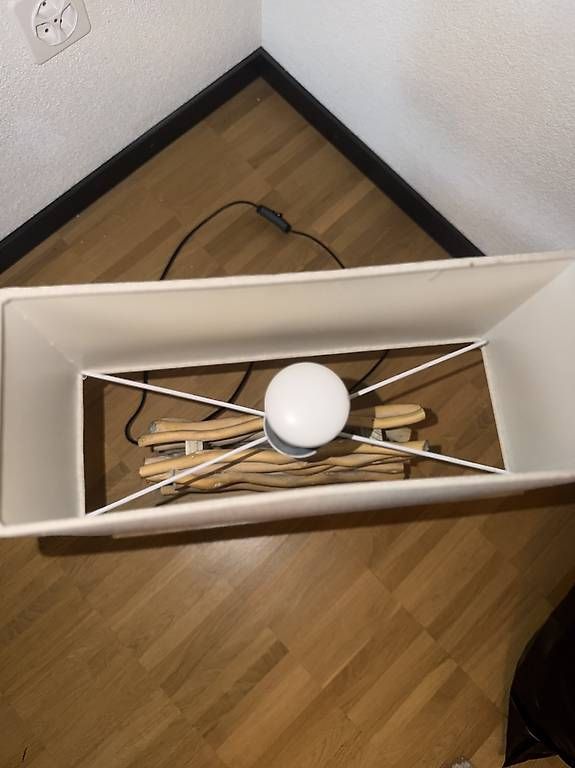 Lampade: Tischlampe – Usato da Niederuzwil venduto da Lisascloset 1