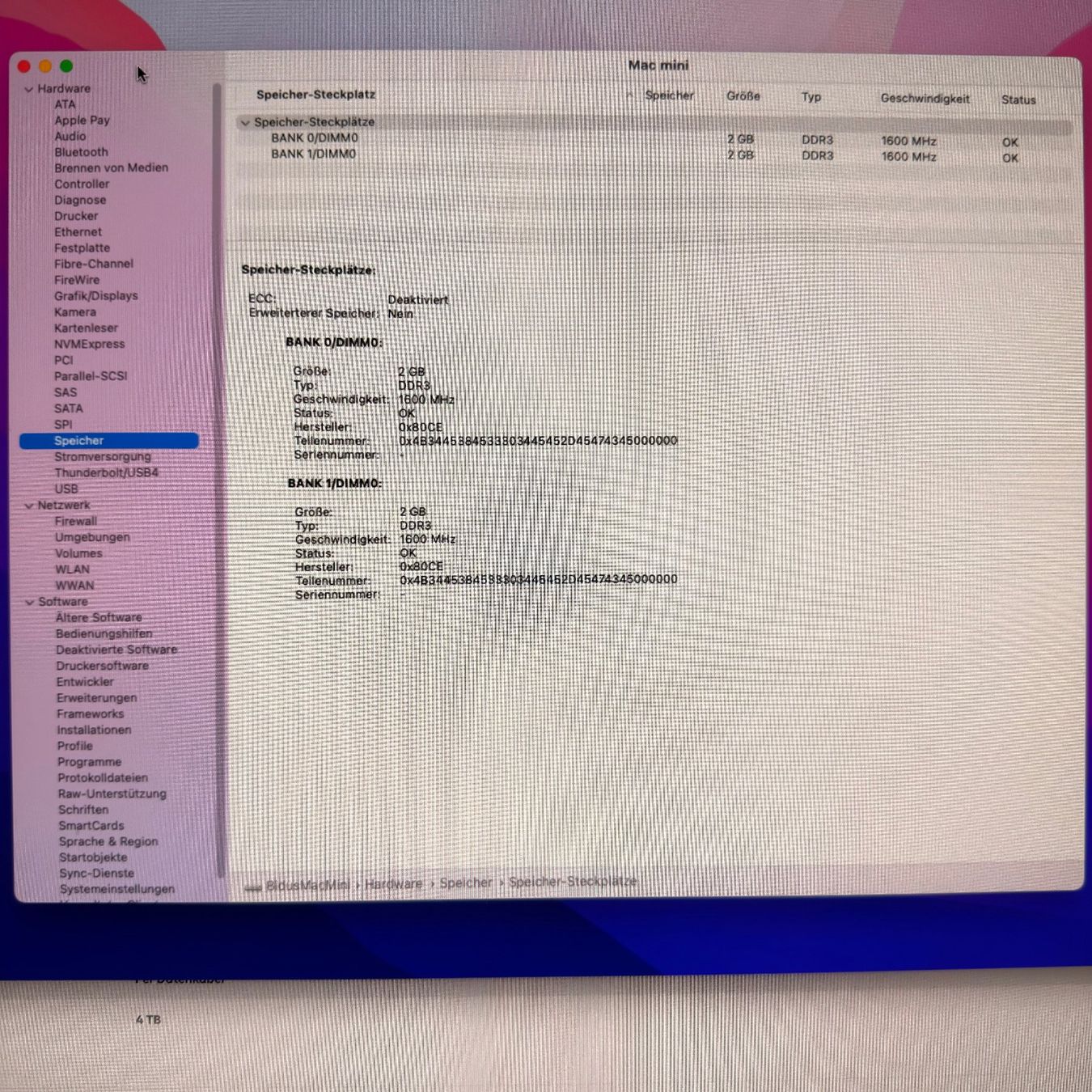 Apple PC: Mac Mini late 2014 1.4 GHz Dual-Core Intel Core i5 mit SSD – Usato da Rubigen venduto da dreamgirl 5