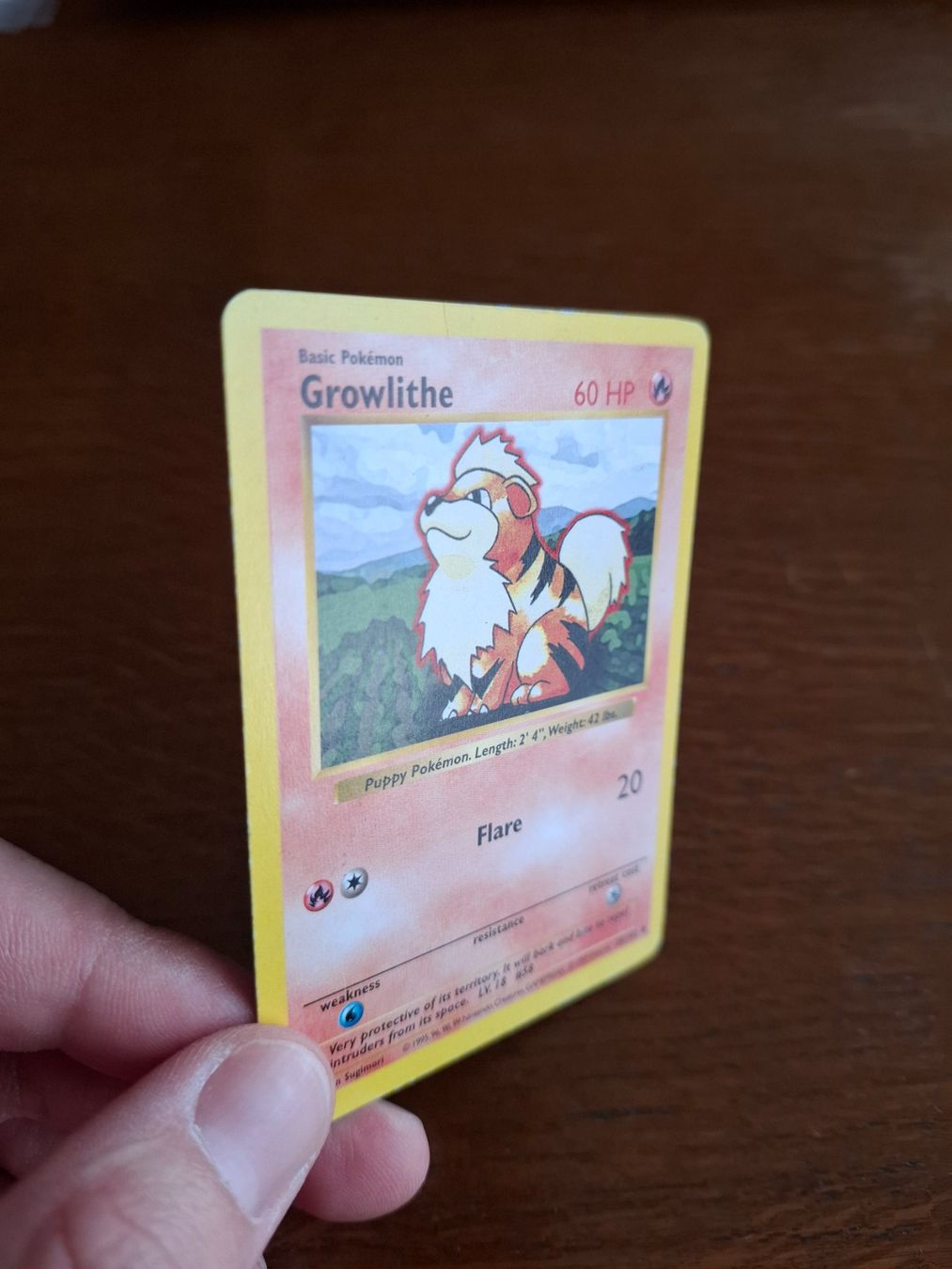 Pokémon Carte collezionabili: Pokemon Growlithe Base Set Shadowless 28/102 – Usato da Giornico venduto da ale_lc8k 2