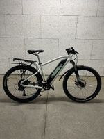 E-Bike Rockreider eST100 