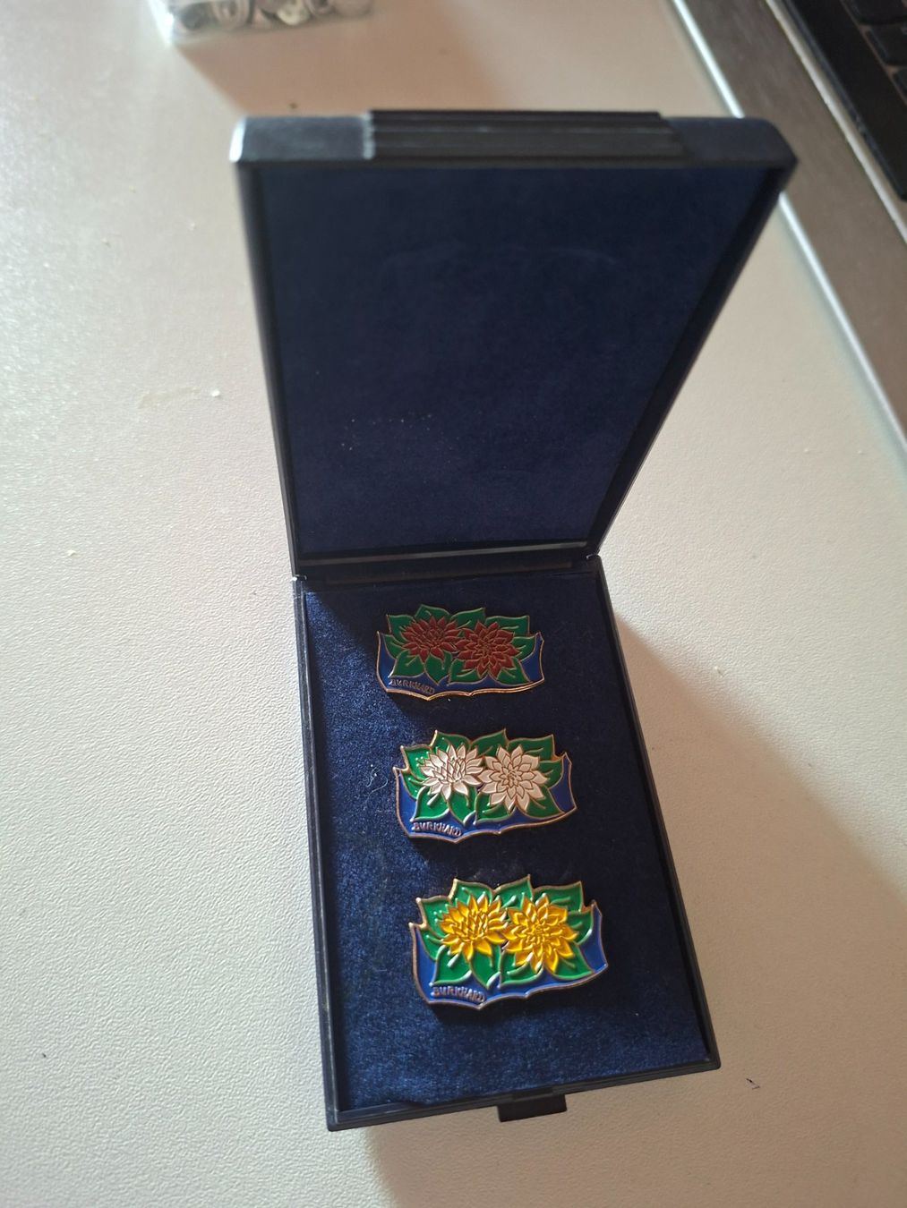 Plaquettes & Badges: Pin 3er Set Blumen Motiv mit Box – D'occasion à Erlinsbach par pfunky 1