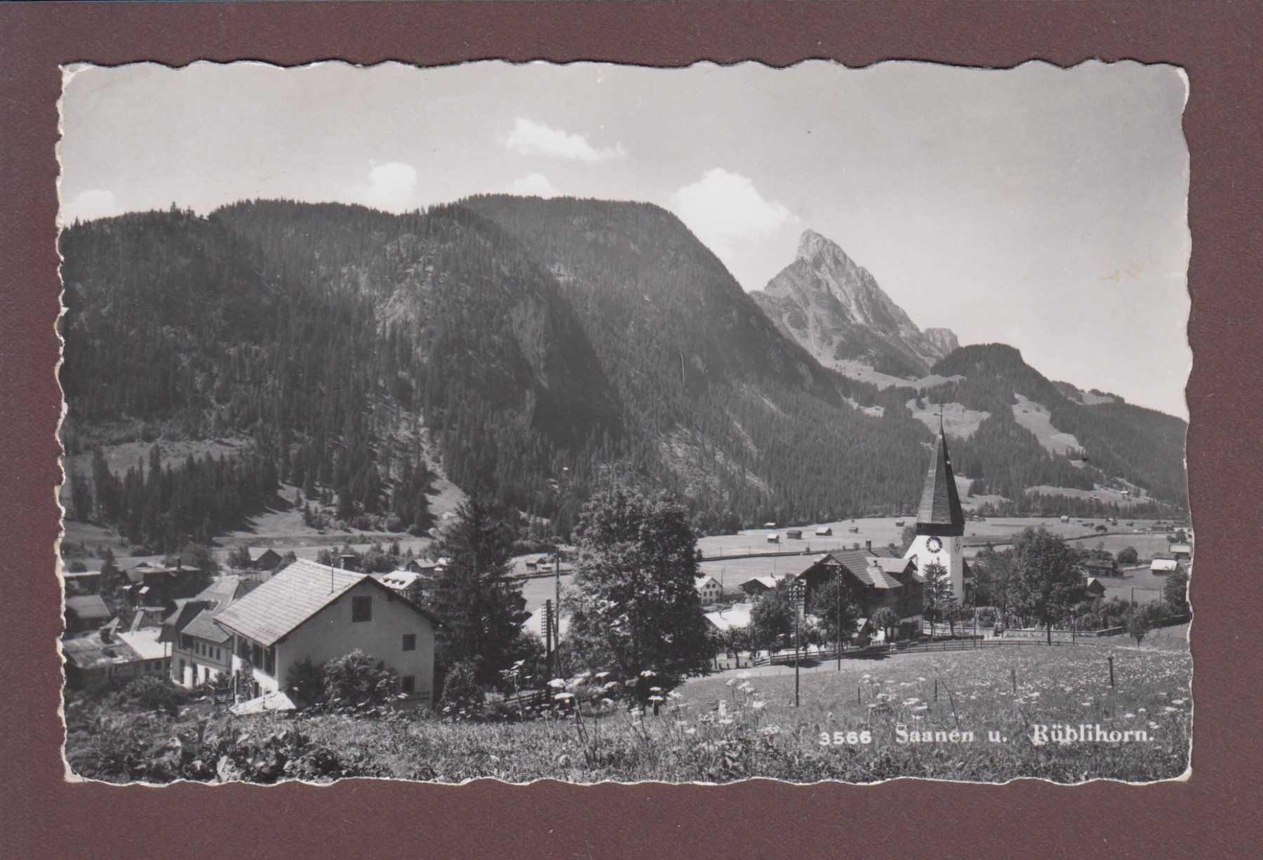 Ansichtskarten: SAANEN - Rüblihorn - 1948 – Gebraucht aus Pully von nicecards