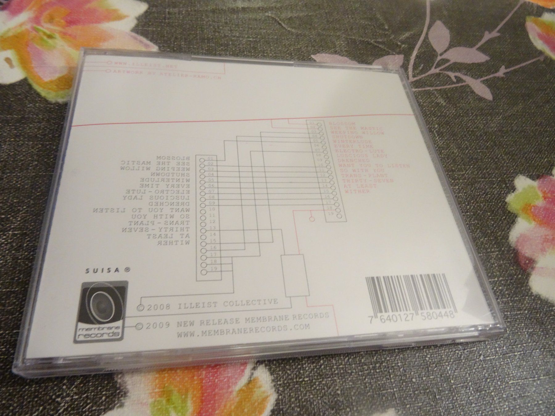 CDs: Illeist - Collective Electress CD – Gebraucht aus Olten von Disc-Ausverkauf 1
