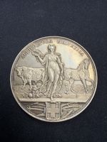 Medaille Freiburg 1877 Landwirtschafts-Ausstellung 50.2mm 71