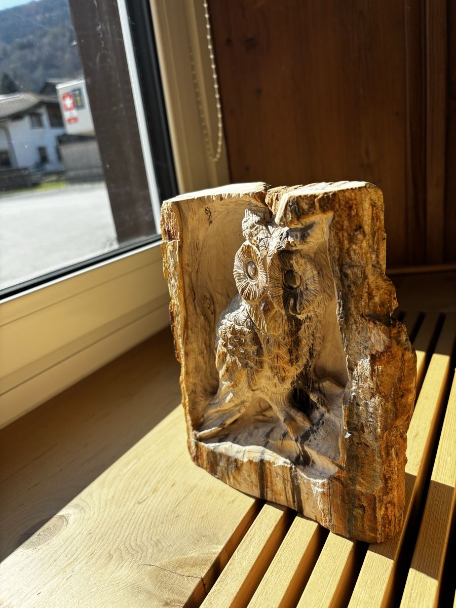 Skulpturen & Statuen: Handgeschnitzte Eule versteinertes Holz, ca. 20cm – Neu (gemäss Beschreibung) aus Jenaz von AlphaWolf74 2