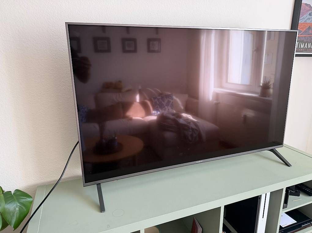 Televisori: Panasonic Fernseher 48.5 Zoll – Usato da Zürich venduto da san_7n2l 1