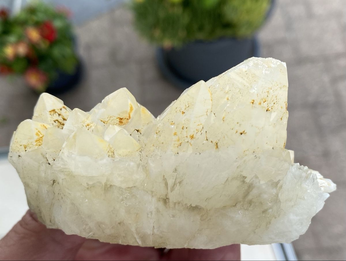 Mineralien & Heilsteine: Schöner Kaktusquarz – Gebraucht aus Selzach von 321compac 3