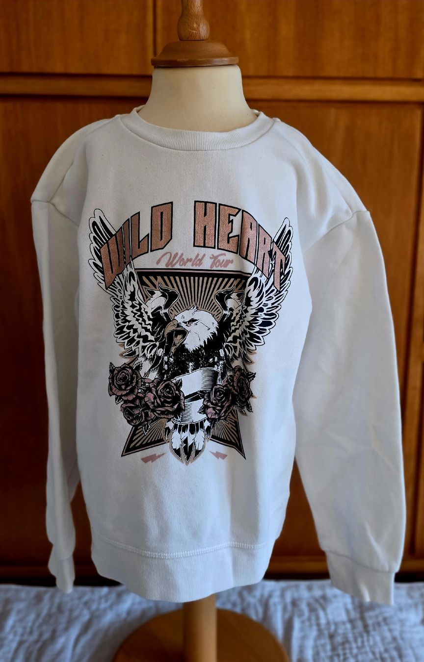 Pulls et sweat-shirts: Pullover 140 146 neu – Neuf (Voir description) à Ruggell par liverzano1