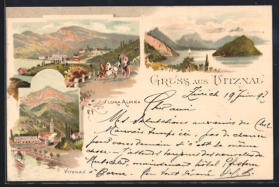 Cartoline postali: Lithographie Vitznau, Flora Alpina, 1897 – Usato da Berlin venduto da bartko-reher