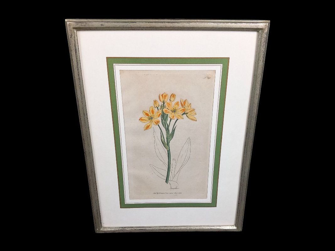 Posters & Illustrations: Bild im Bilderrahmen orange Blume – D'occasion à Hünenberg par Restwert_Zug 1