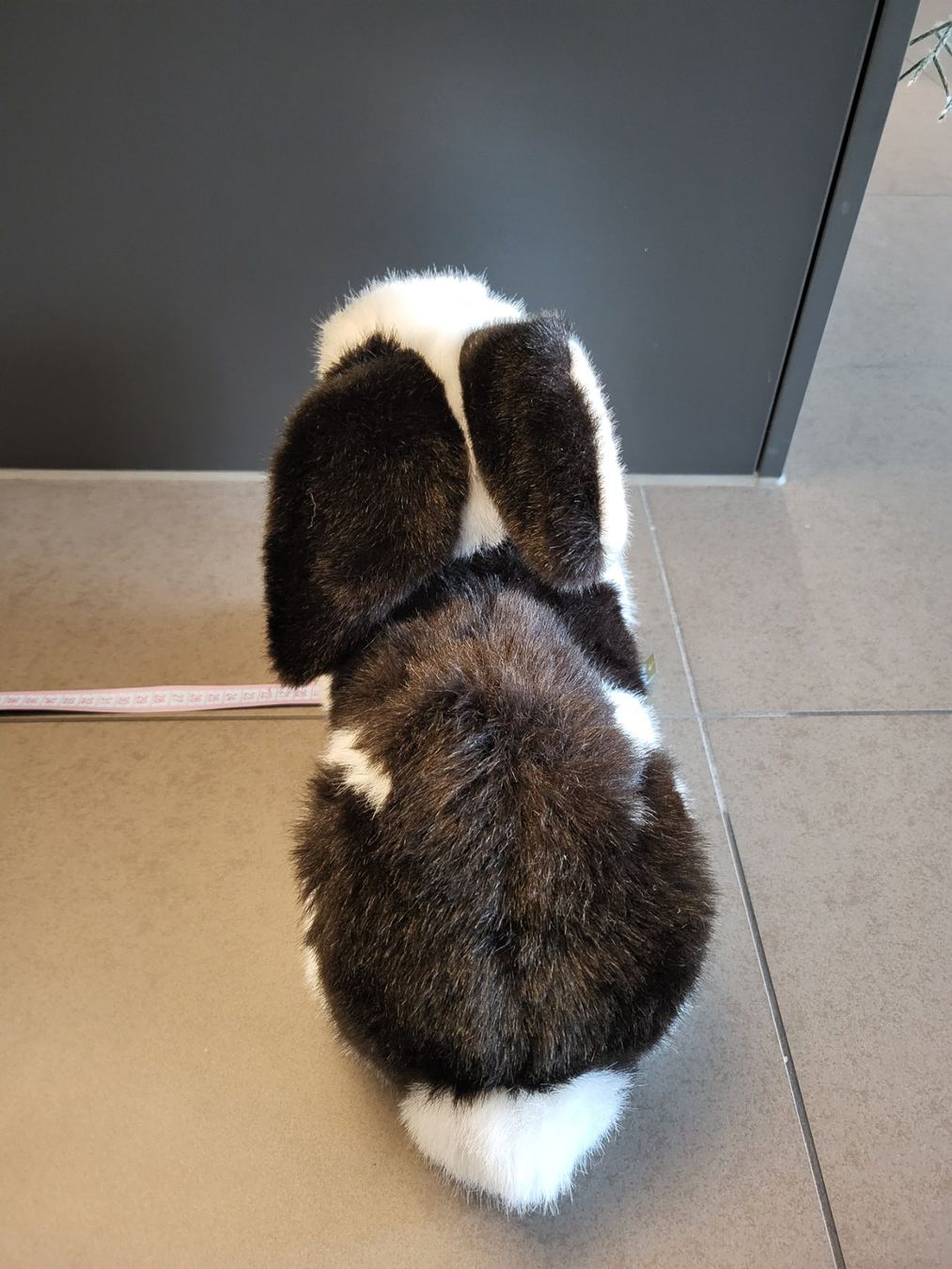 Steiff Spielzeuge: Steiff Hase – Neu (gemäss Beschreibung) aus Zürich von Orchidee 5