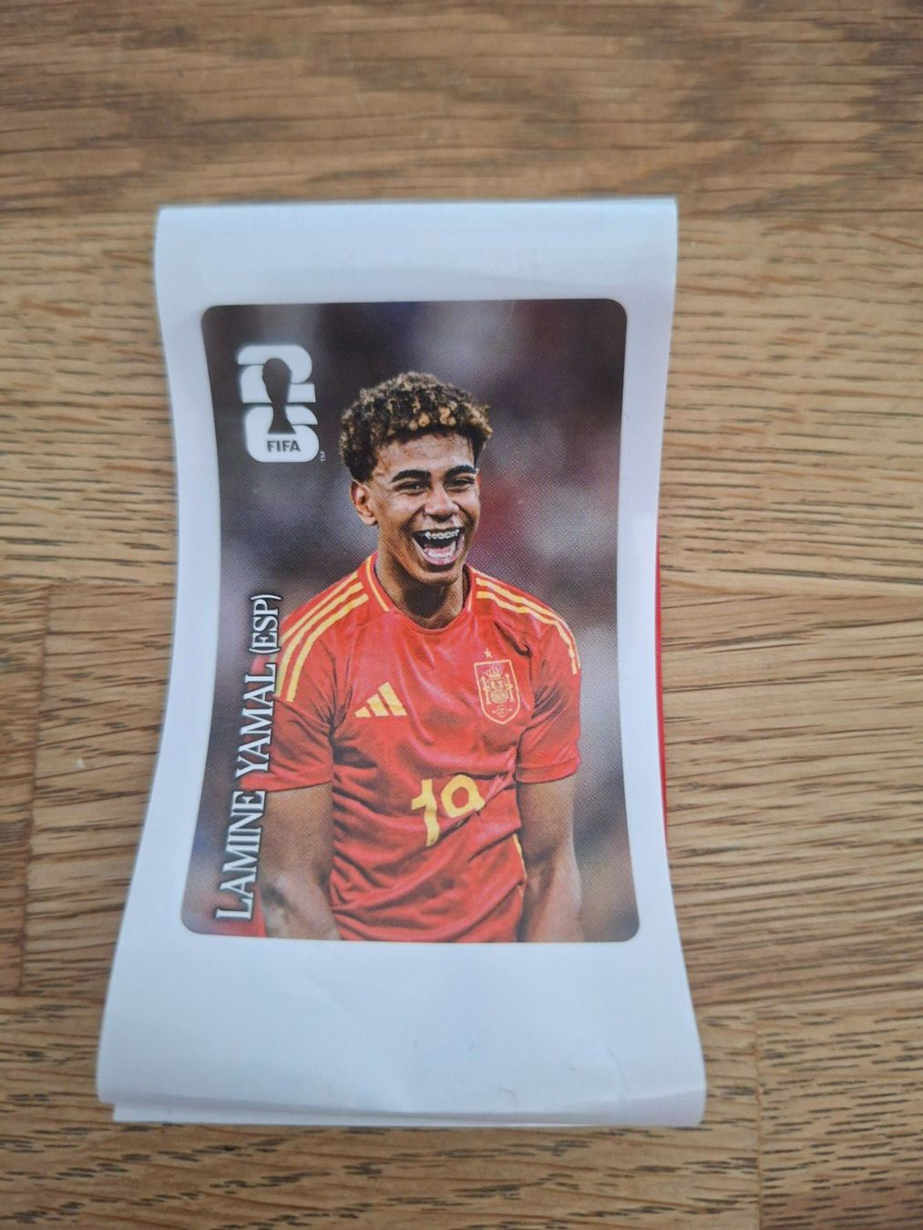 Panini Carte collezionabili: WM Panini 2026 Coca Cola Sticker – Nuovo (secondo la descrizione) da Lohn SH venduto da Zwierbel