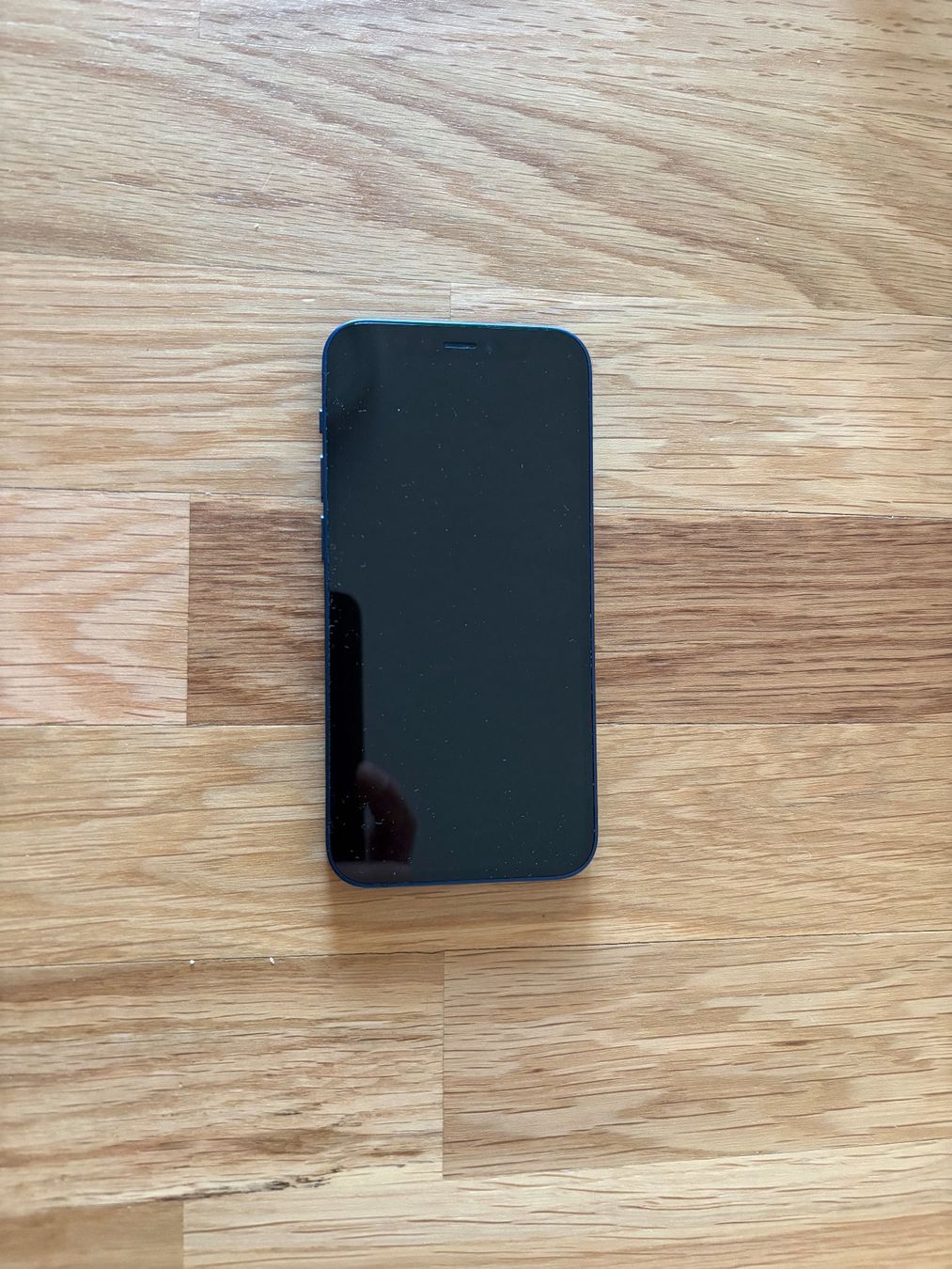 Apple Portables: Iphone 12 Mini 64 GB blau – Neuf (Voir description) à Bad Ragaz par fcp9701 1