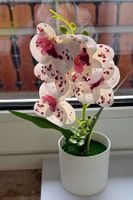 weisse mit lila Punkten künstliche Phalaenopsis-Orchidee in