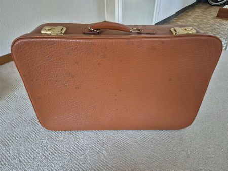 Retro Koffer rehbraun