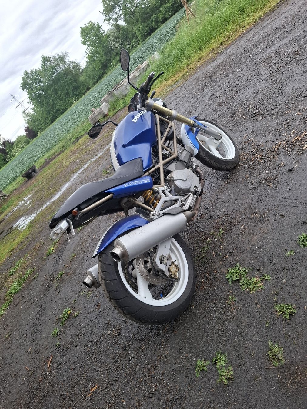 Ducati Strada: Ducati Monster 600 Motorrad wunderschön – Usato da Rotkreuz venduto da Babo21 3