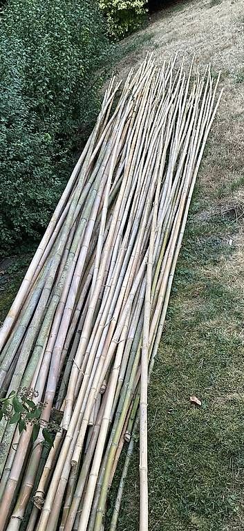 Autres matériaux de construction: Bambous coupés – D'occasion à Denezy par emi_7br8 2