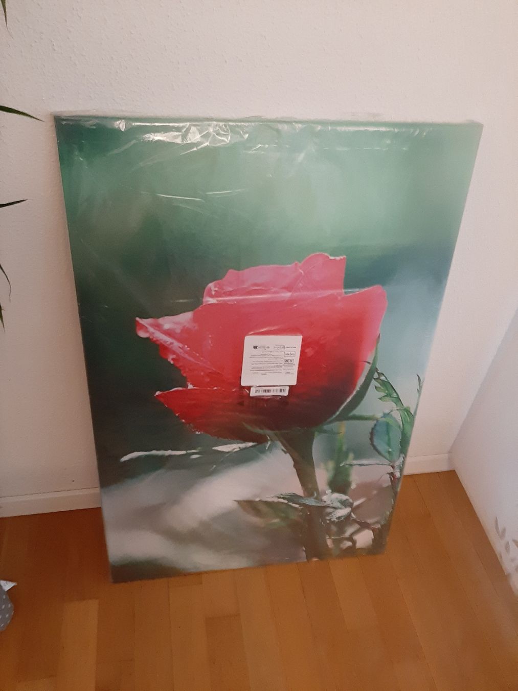 Foto & Immagini: Neues Leinwandbild, 60x90cm. originalverpackt – Nuovo e nell'imballaggio originale da Hochdorf venduto da Amazone0 3
