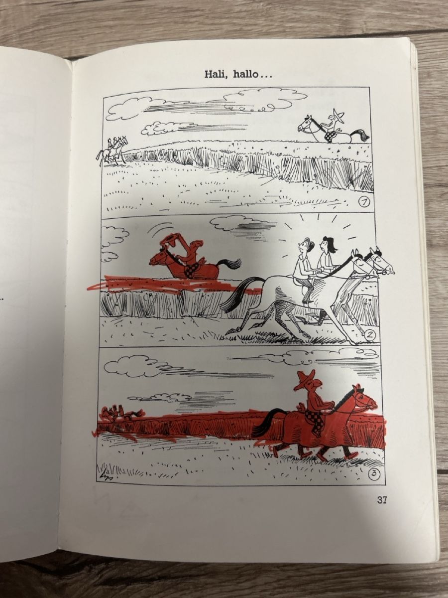 Libri: Globi König der Spassmacher – Usato da Maienfeld venduto da Jasmin_laeser 8