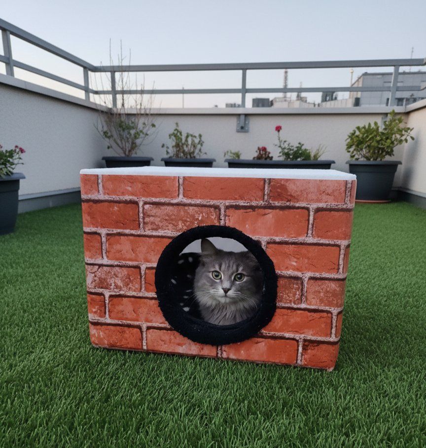 Altro in Decorazioni & Accessori: Hunde und Katze Terrasse-Box / Hause – Nuovo (secondo la descrizione) da Dietwil venduto da Celli85 1